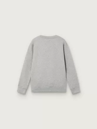Journey Sweatshirt mit Rundhalsausschnitt für Jungen aus grau melierter Baumwolle mit Maskottchen-Print