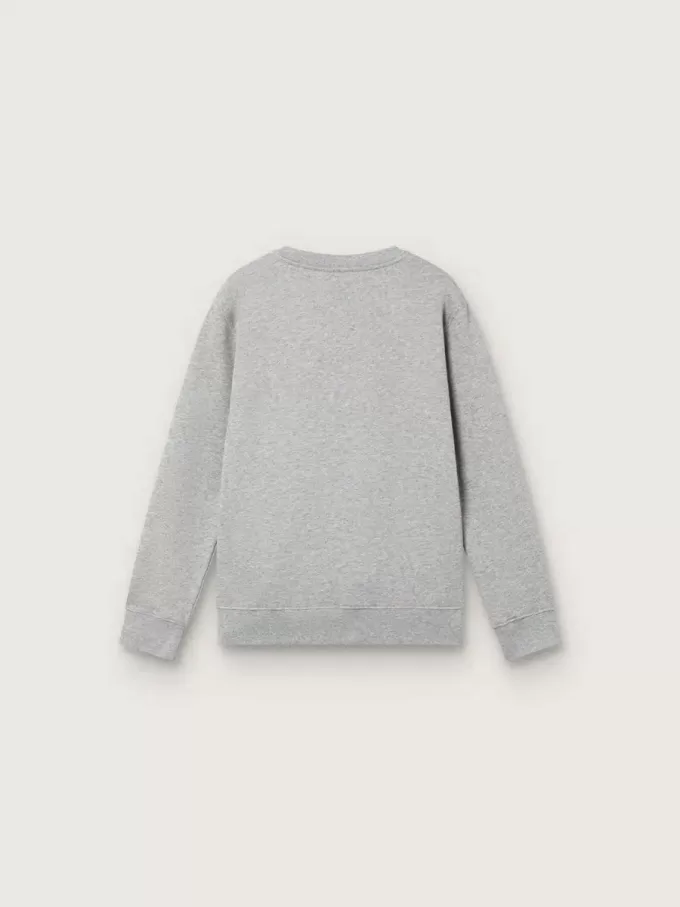 Journey Sweatshirt mit Rundhalsausschnitt für Jungen aus grau melierter Baumwolle mit Maskottchen-Print Journey Sweatshirt mit Rundhalsausschnitt für Jungen aus grau melierter Baumwolle mit Maskottchen-Print